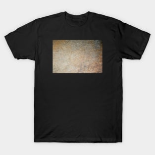 Prehistoric graduated texture T-Shirt